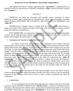 Intellectual Property Transfer Agreement (7 Pages)